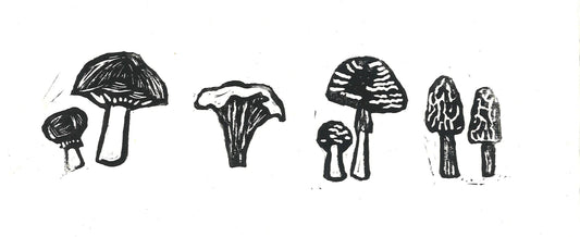 Mushrooms (Black & White, Original)